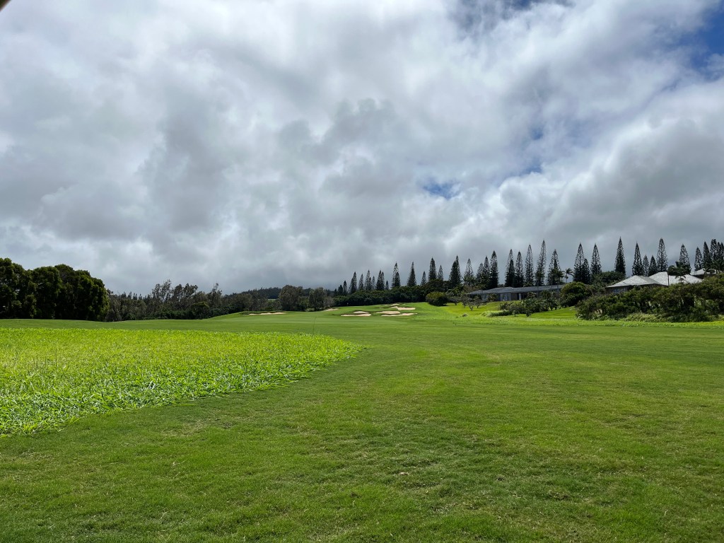 Kapalua Plantation Course hole by hole 0049
