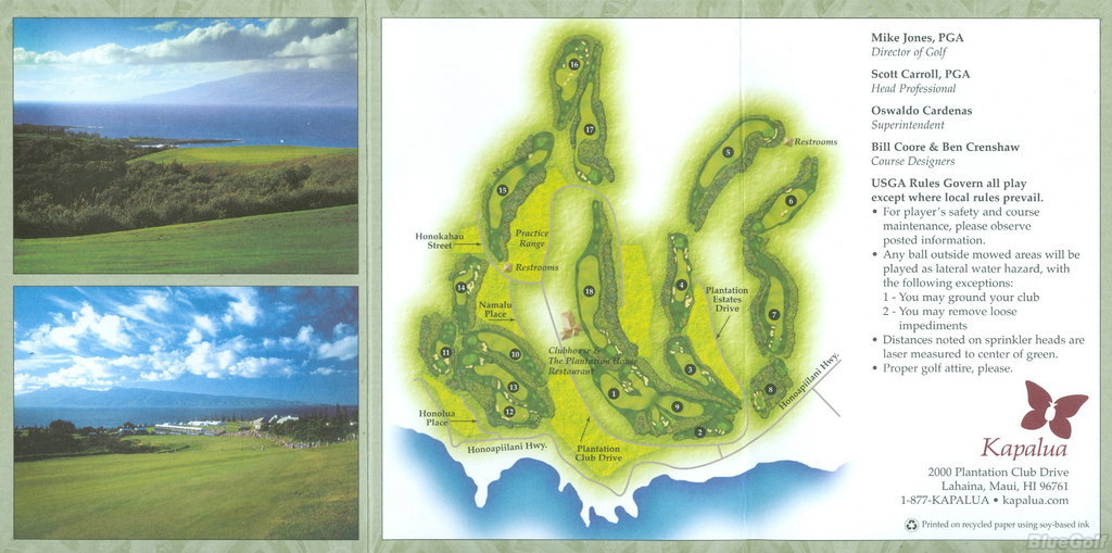 Kapalua Plantation Course photos