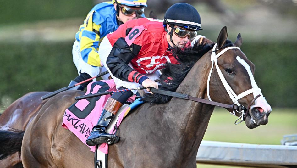 secretariat wins triple crown