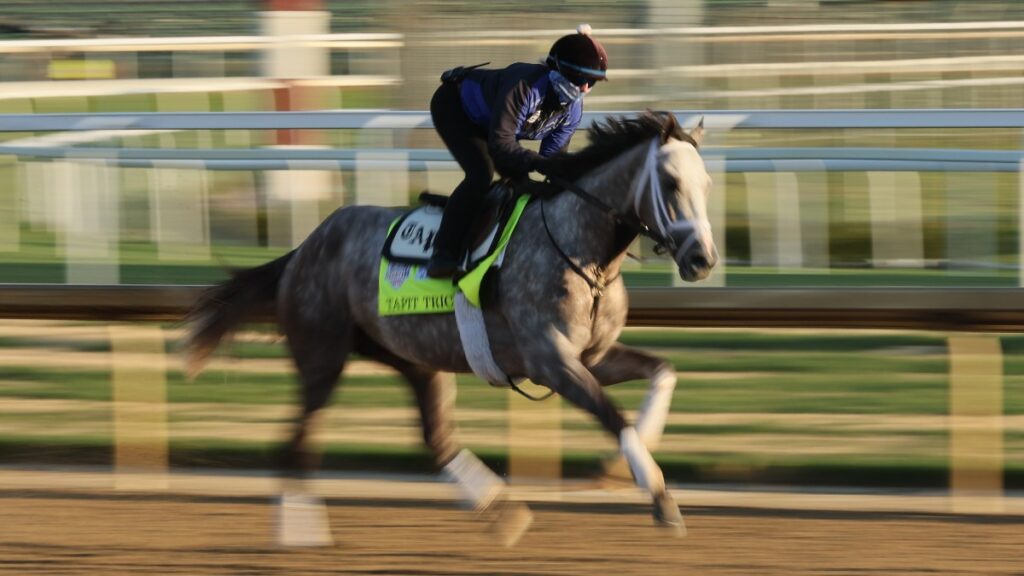 kentucky derby 2023 when 0018