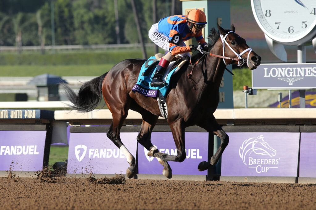 kentucky derby colors 2023 0023