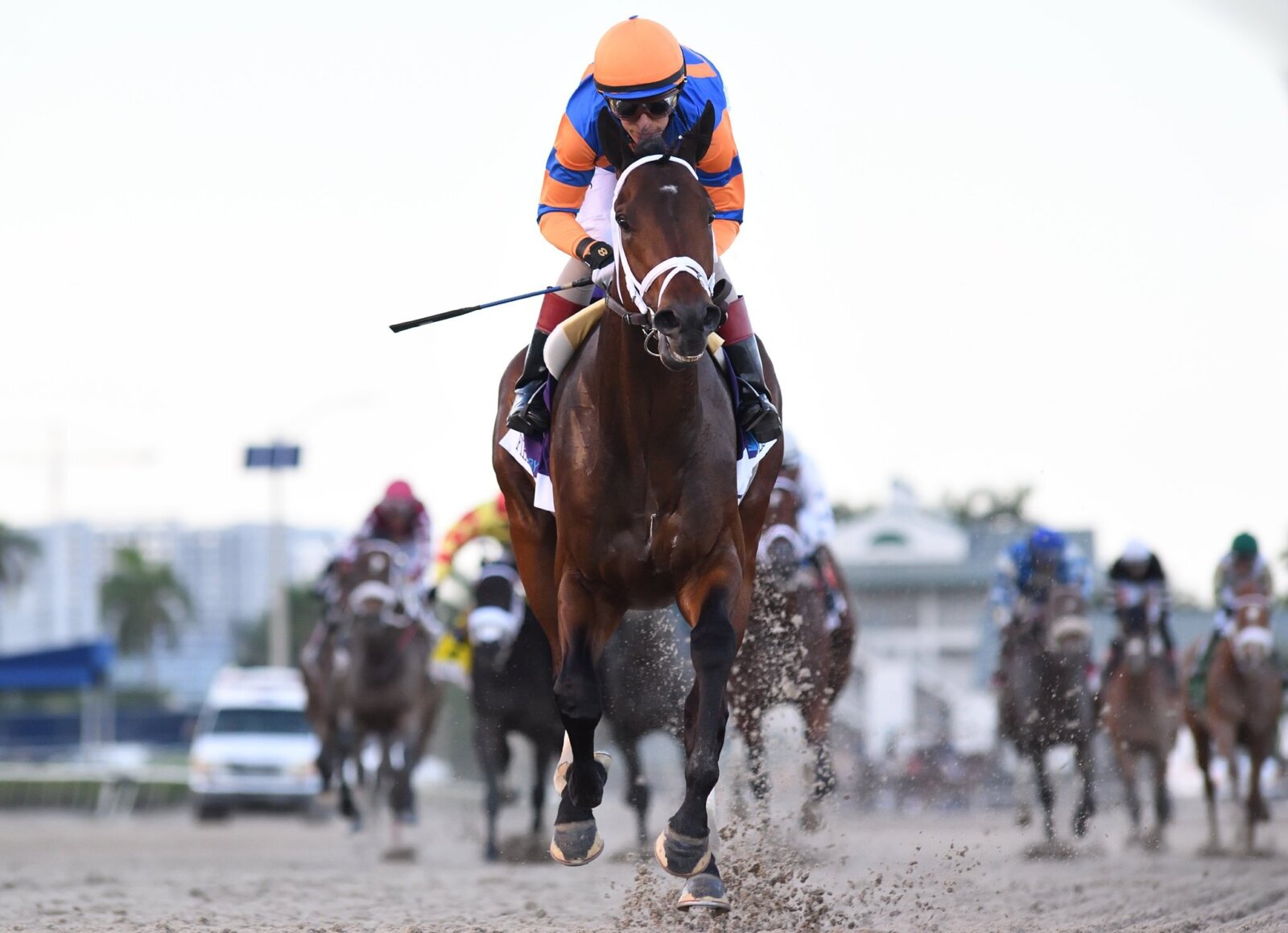 kentucky derby colors 2023 0049