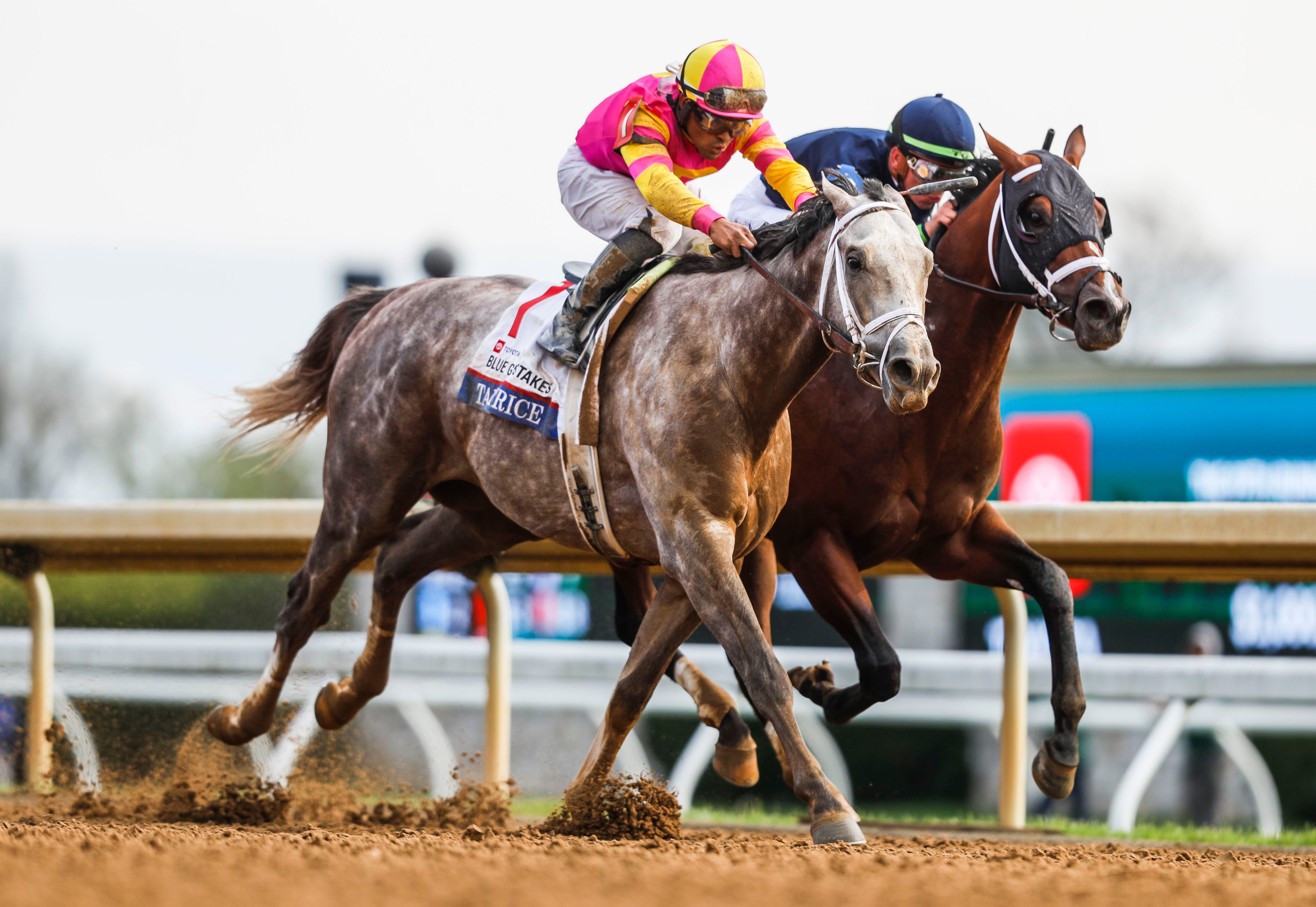 kentucky derby field 2023 0013