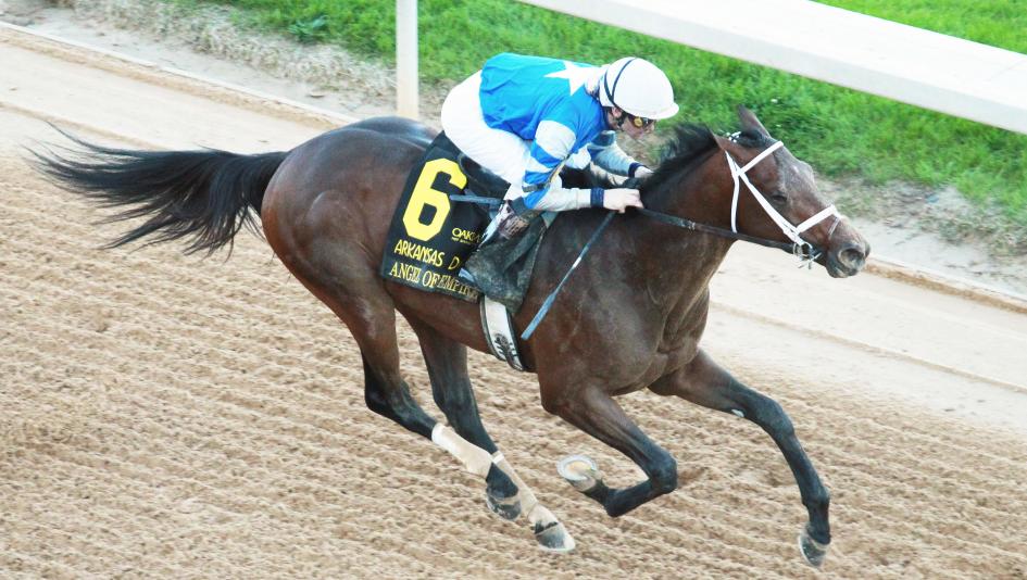 kentucky derby field 2023 0035