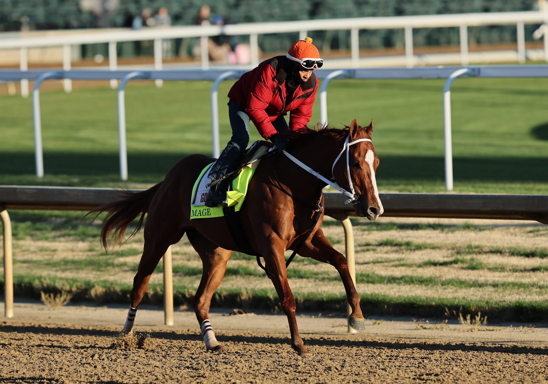 kentucky derby field 2023 0043