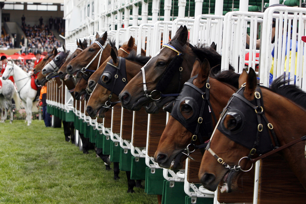 kentucky derby field 2023 0047