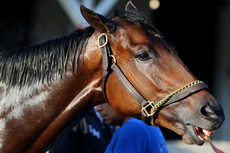kentucky derby field 2023 0048