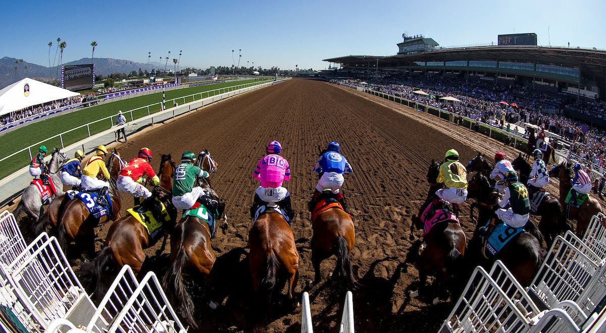 secretariat wins triple crown 0011