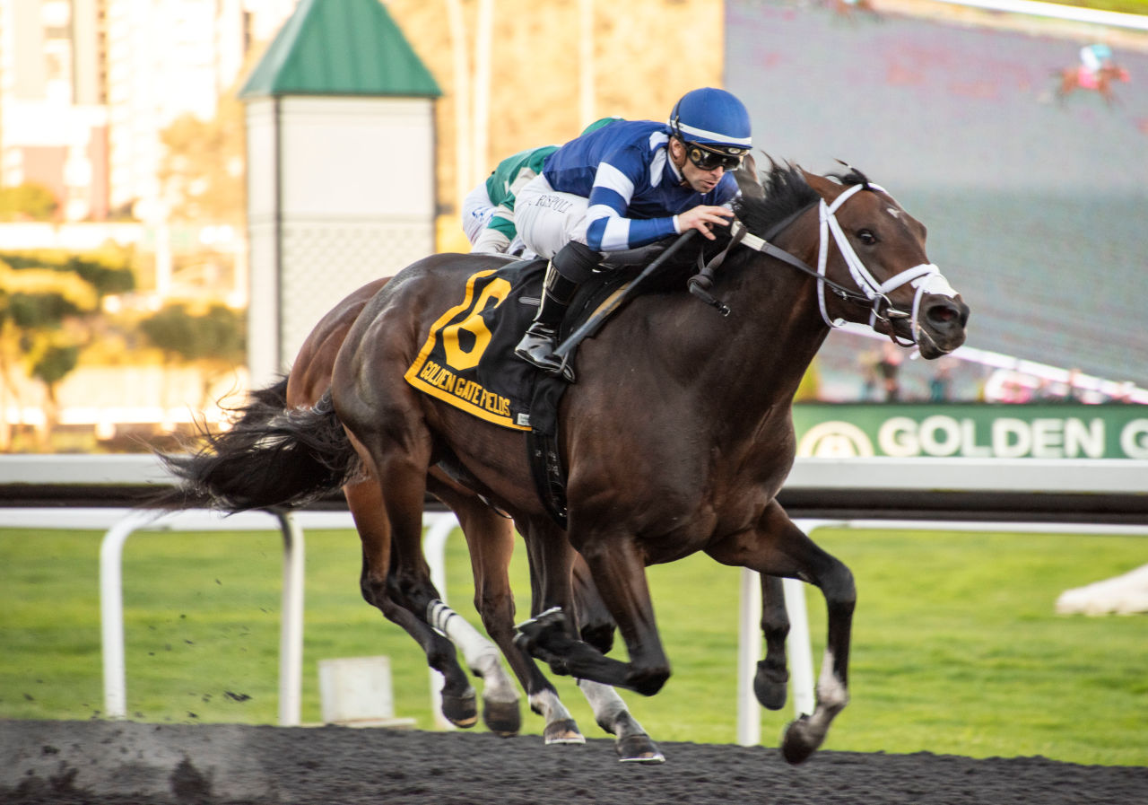 secretariat wins triple crown 0032