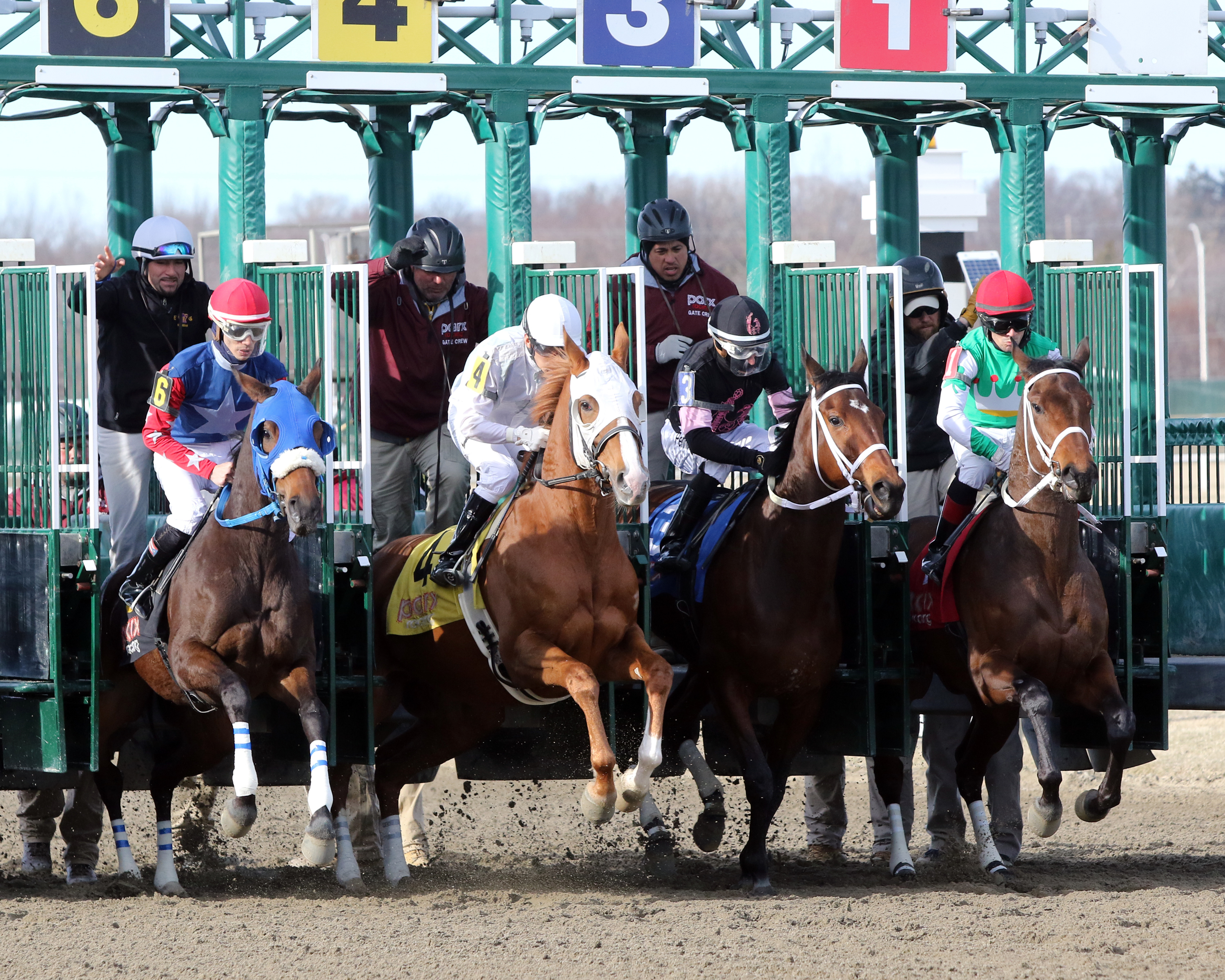 secretariat wins triple crown 0037