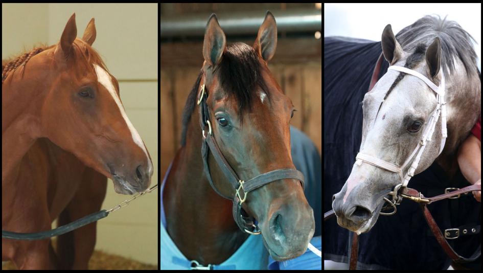 secretariat wins triple crown