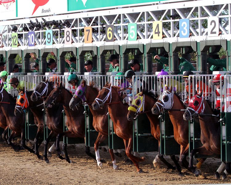 kentucky derby starting gate 0014