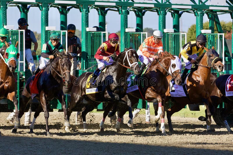 kentucky derby starting gate 0044