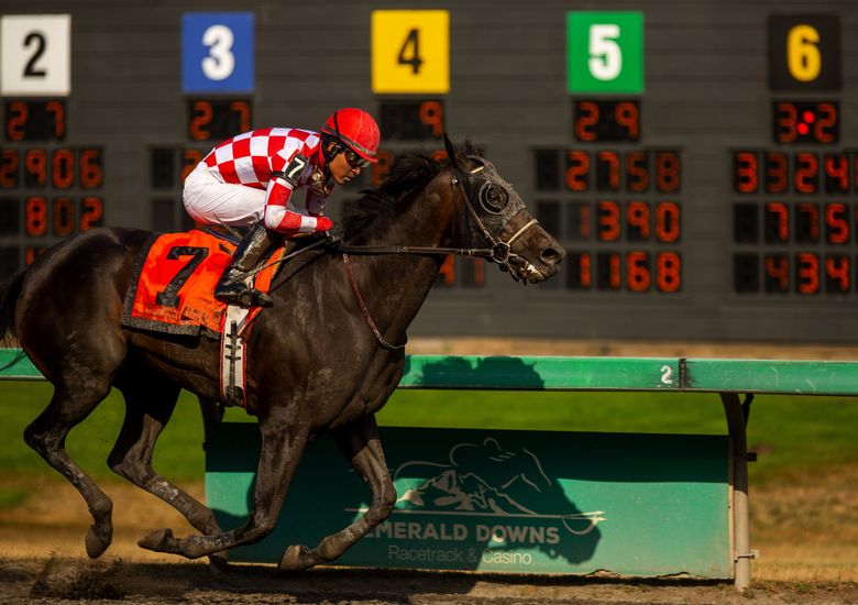 secretariat wins triple crown 0010