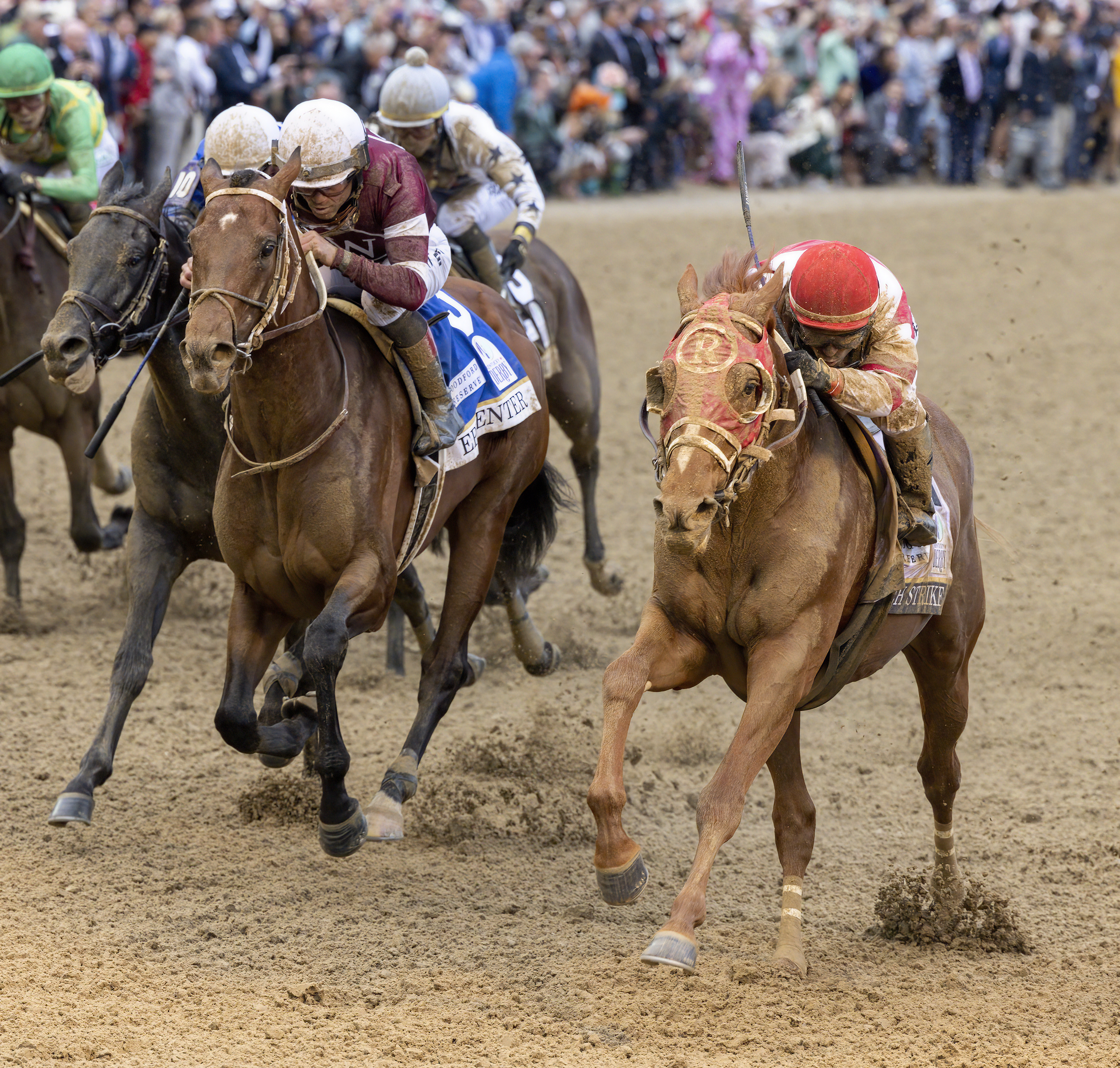 secretariat wins triple crown 0017