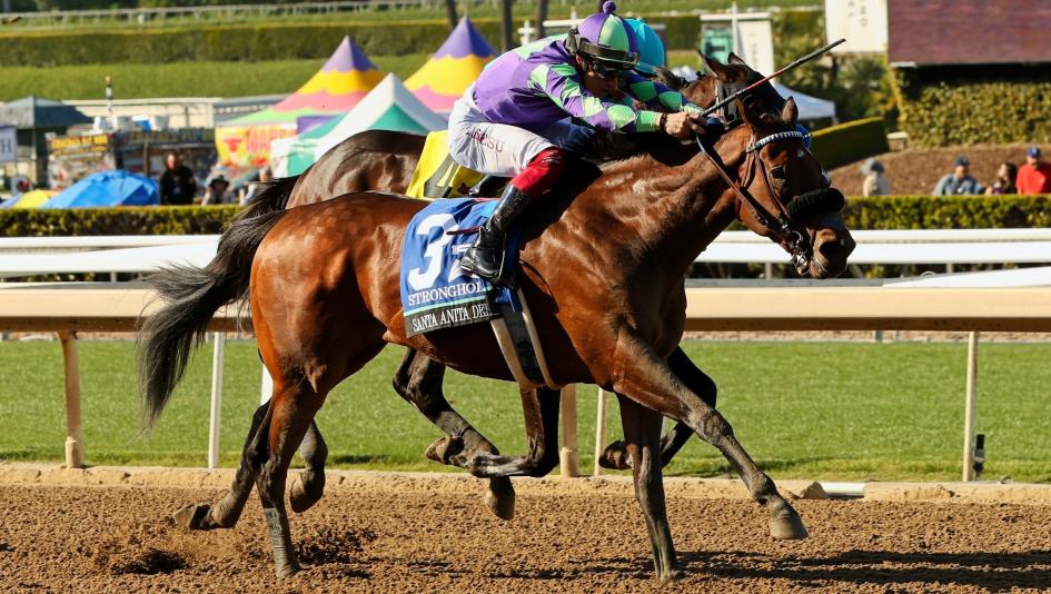 secretariat wins triple crown 0023
