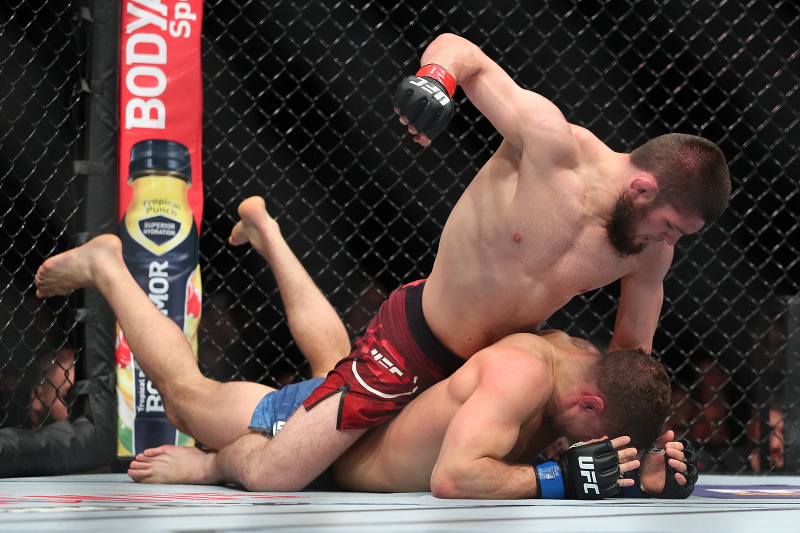 khabib v mcgregor 0031