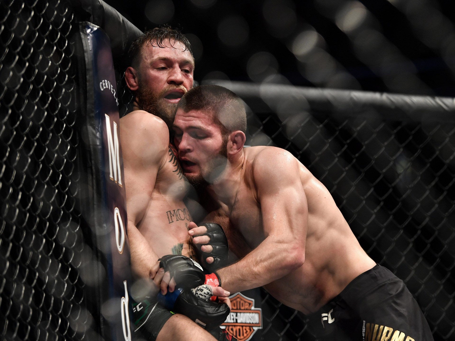khabib v mcgregor 0033