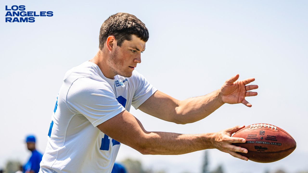 LA Rams punter performance analysis