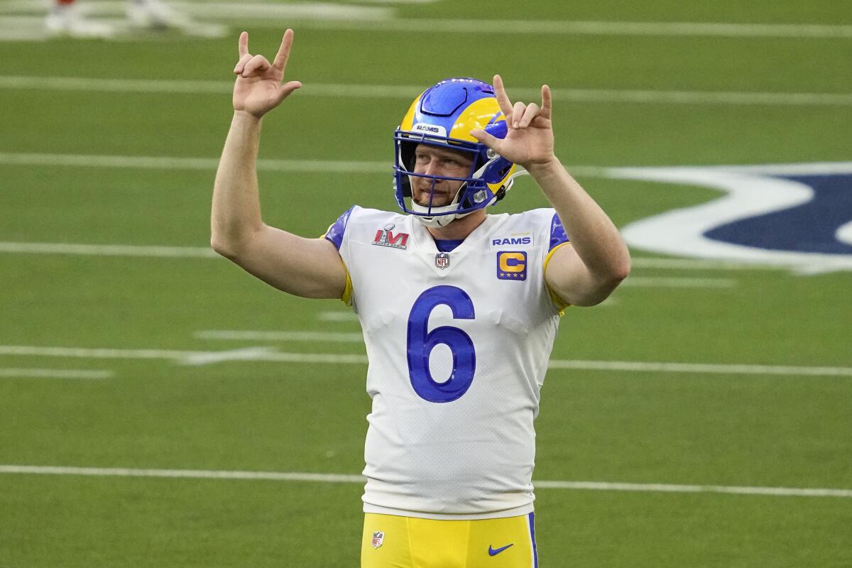 LA Rams punter player profile
