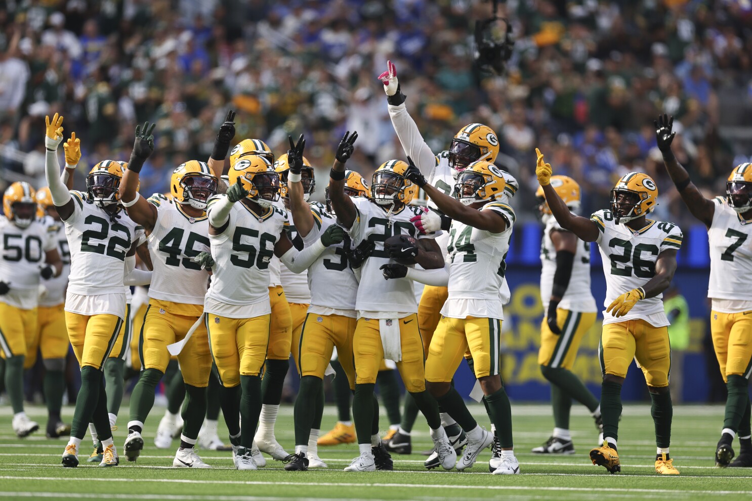 lambeau field 1990 0024