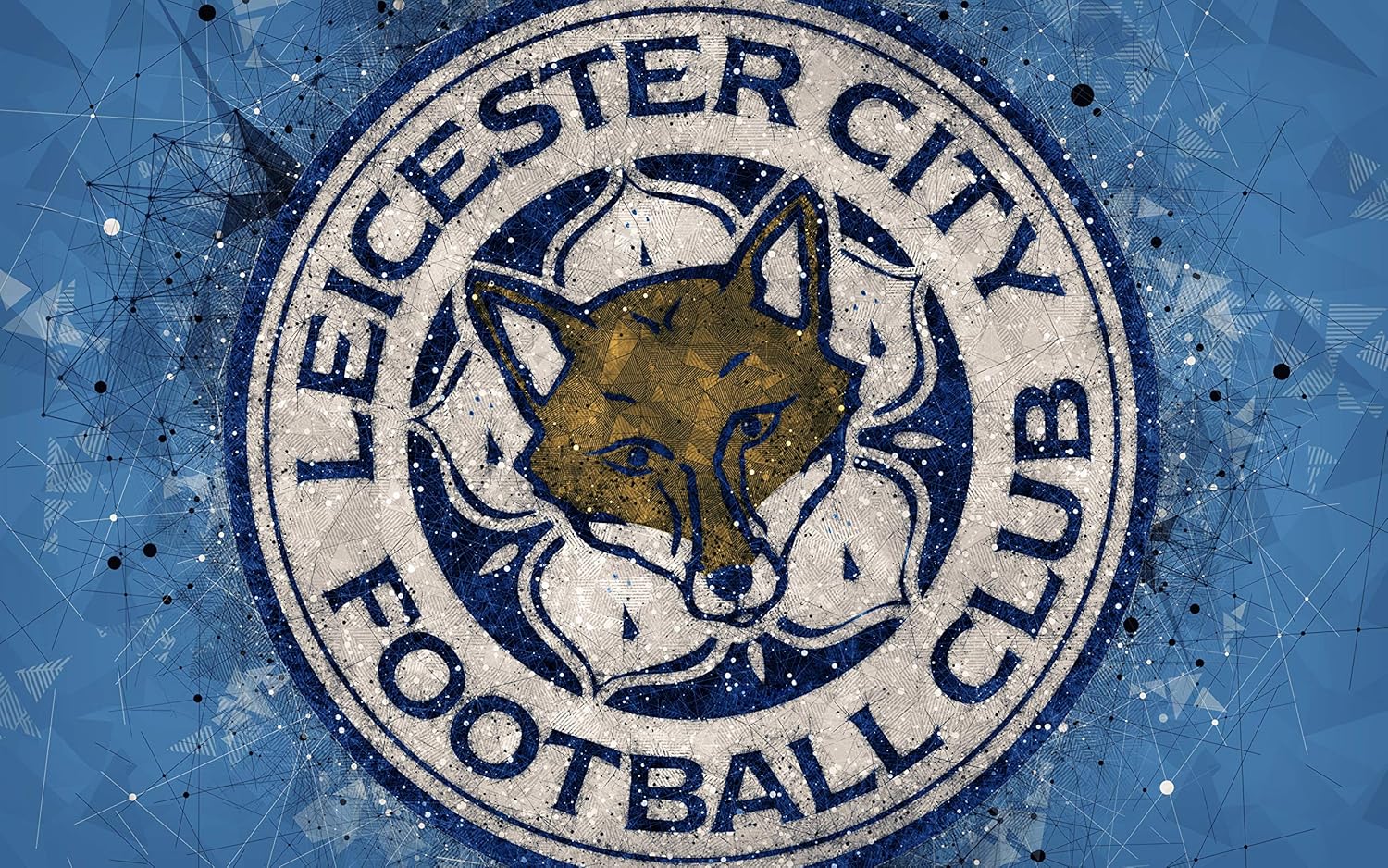 Leicester City player poster