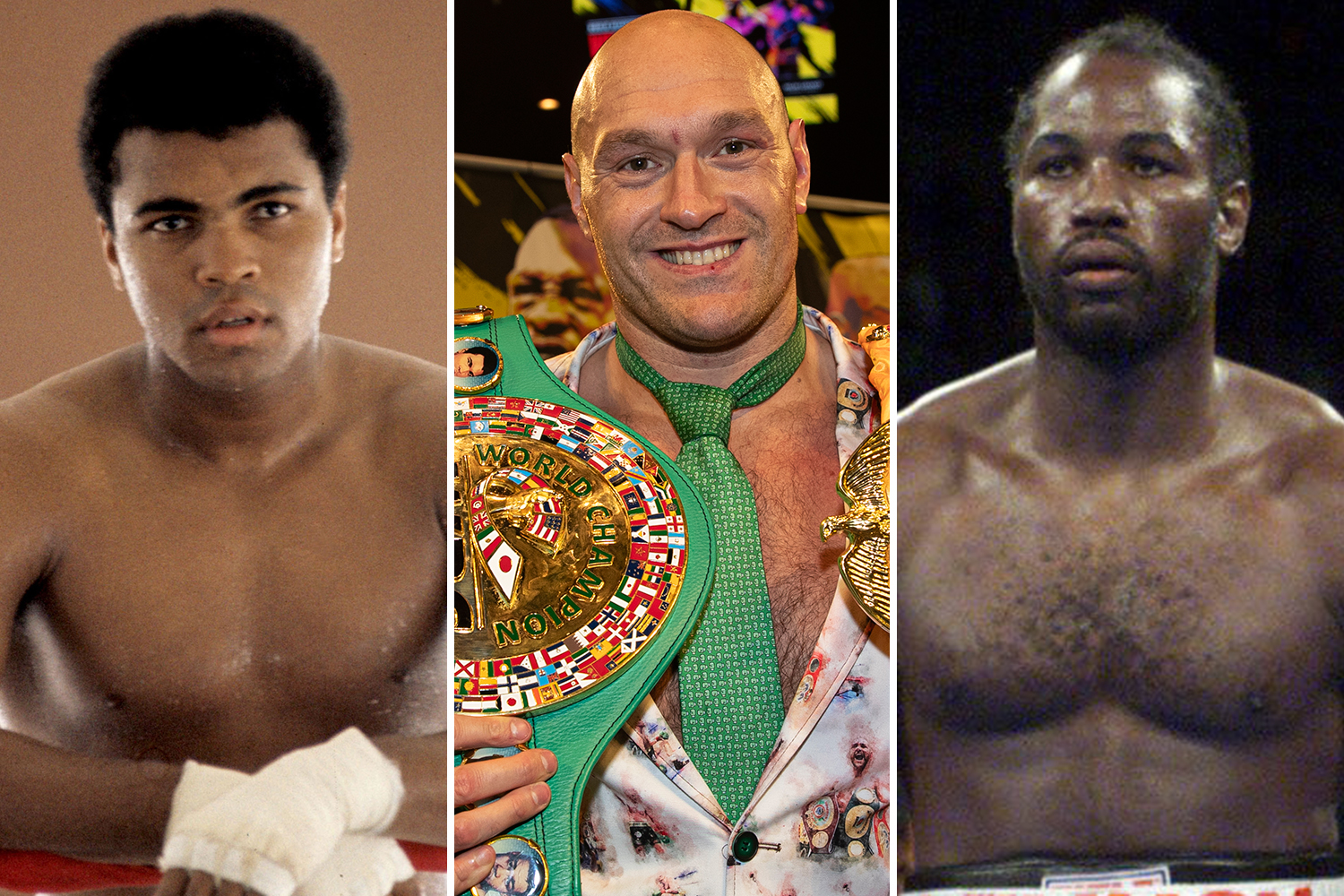 lennox lewis fights list 0019
