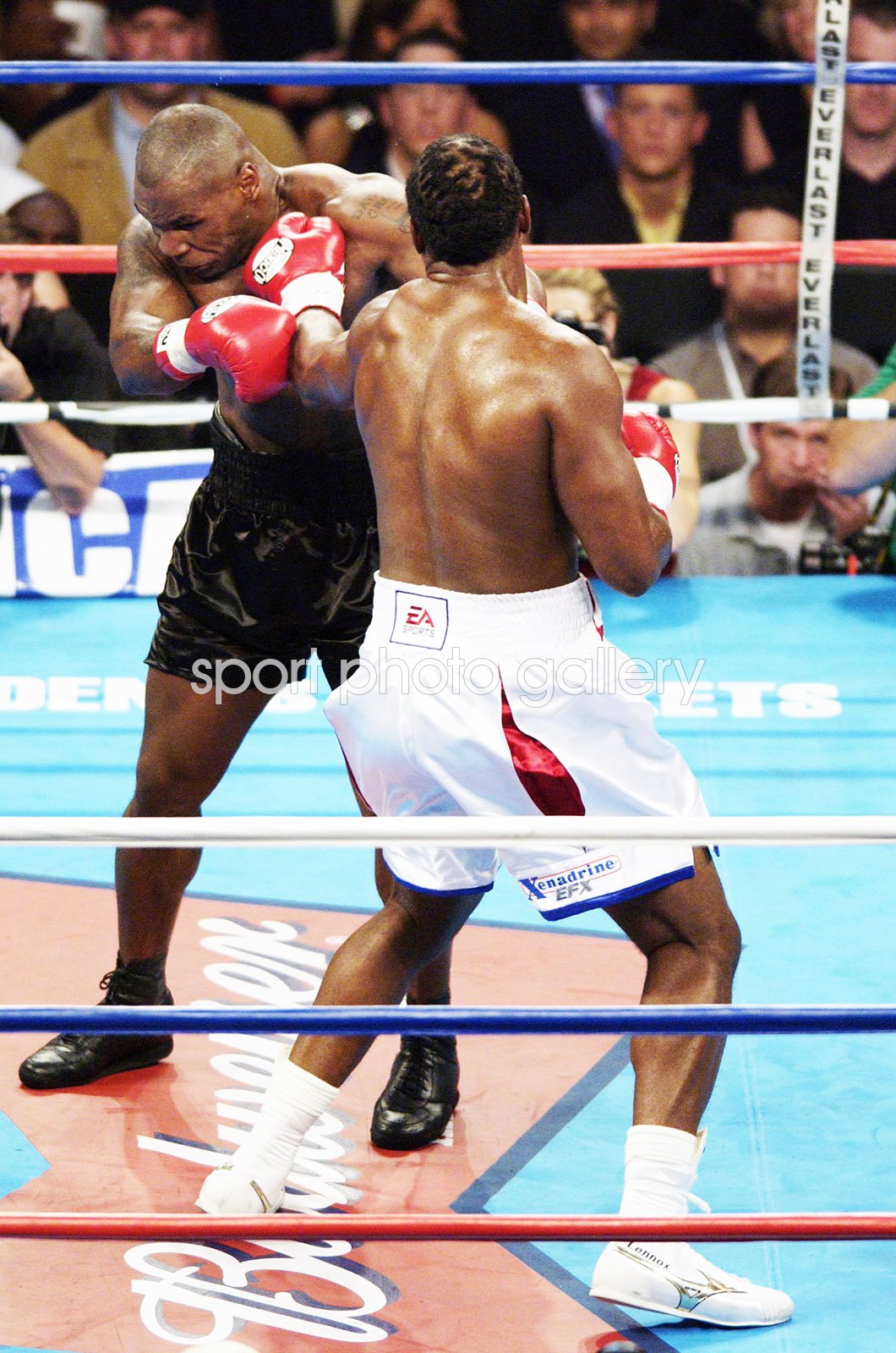 lennox lewis fights list 0031