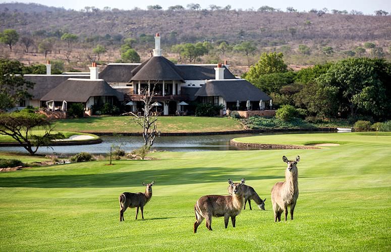 leopard creek photos