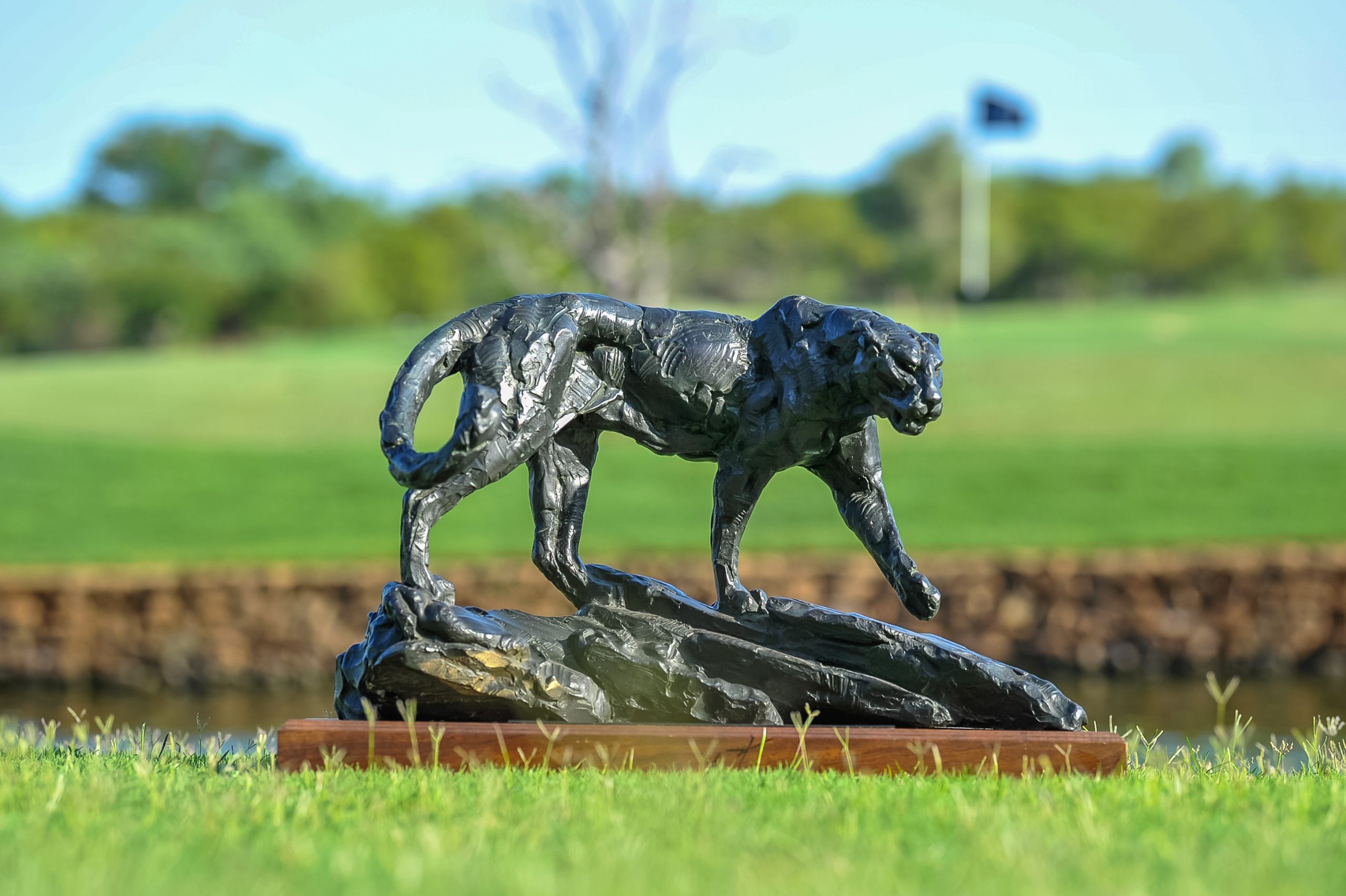 leopard creek south africa 0018