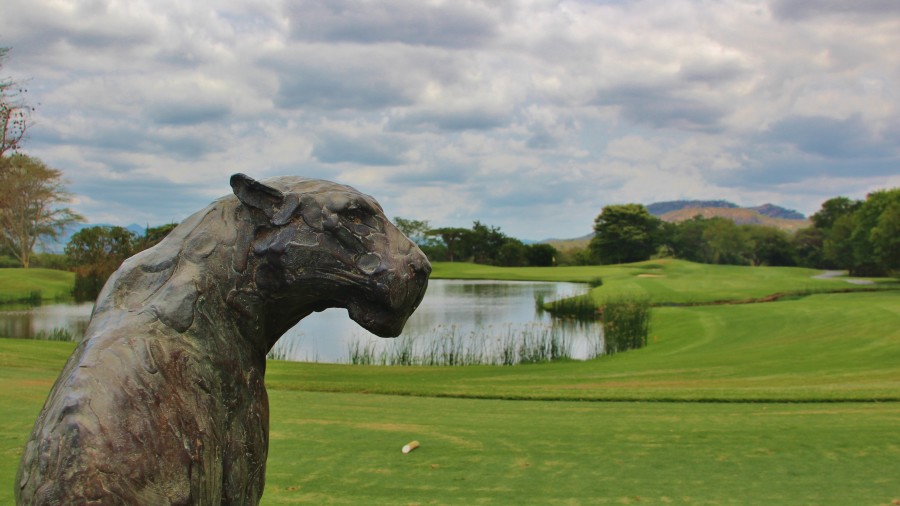 leopard creek south africa 0040
