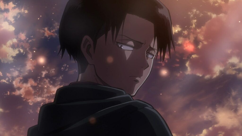 levi stage 0025