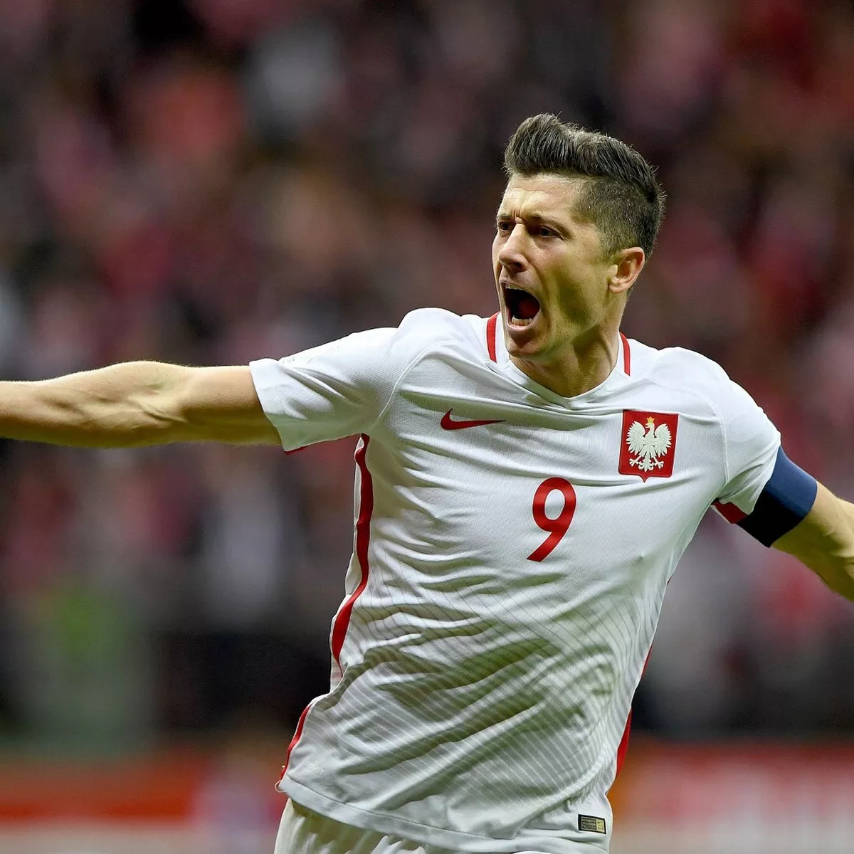 lewandowski pfp 0010