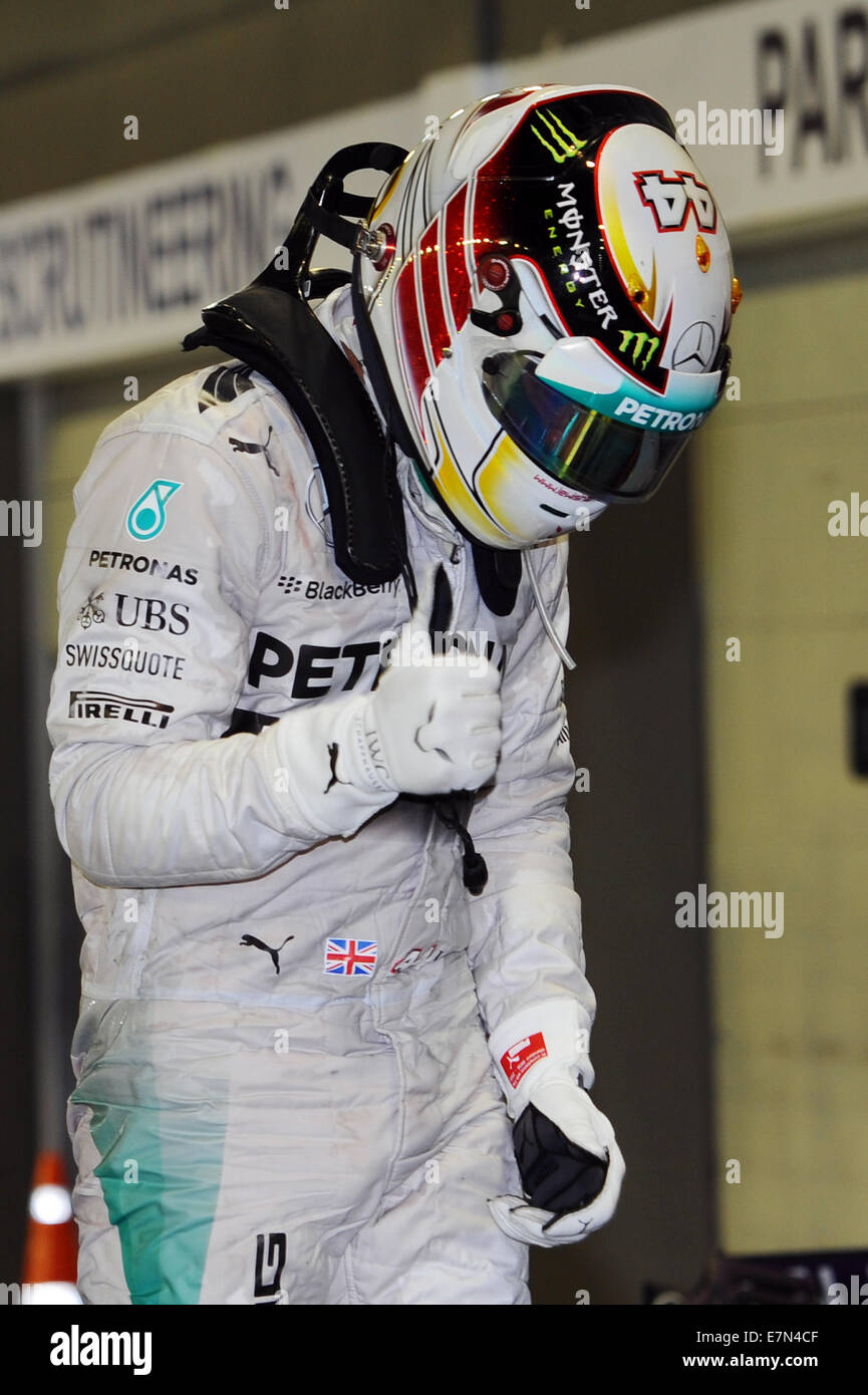 lewis hamilton pfp 0012