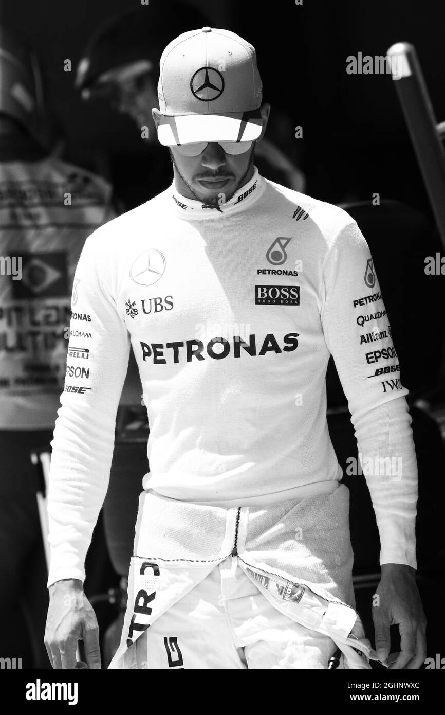 lewis hamilton pfp 0020