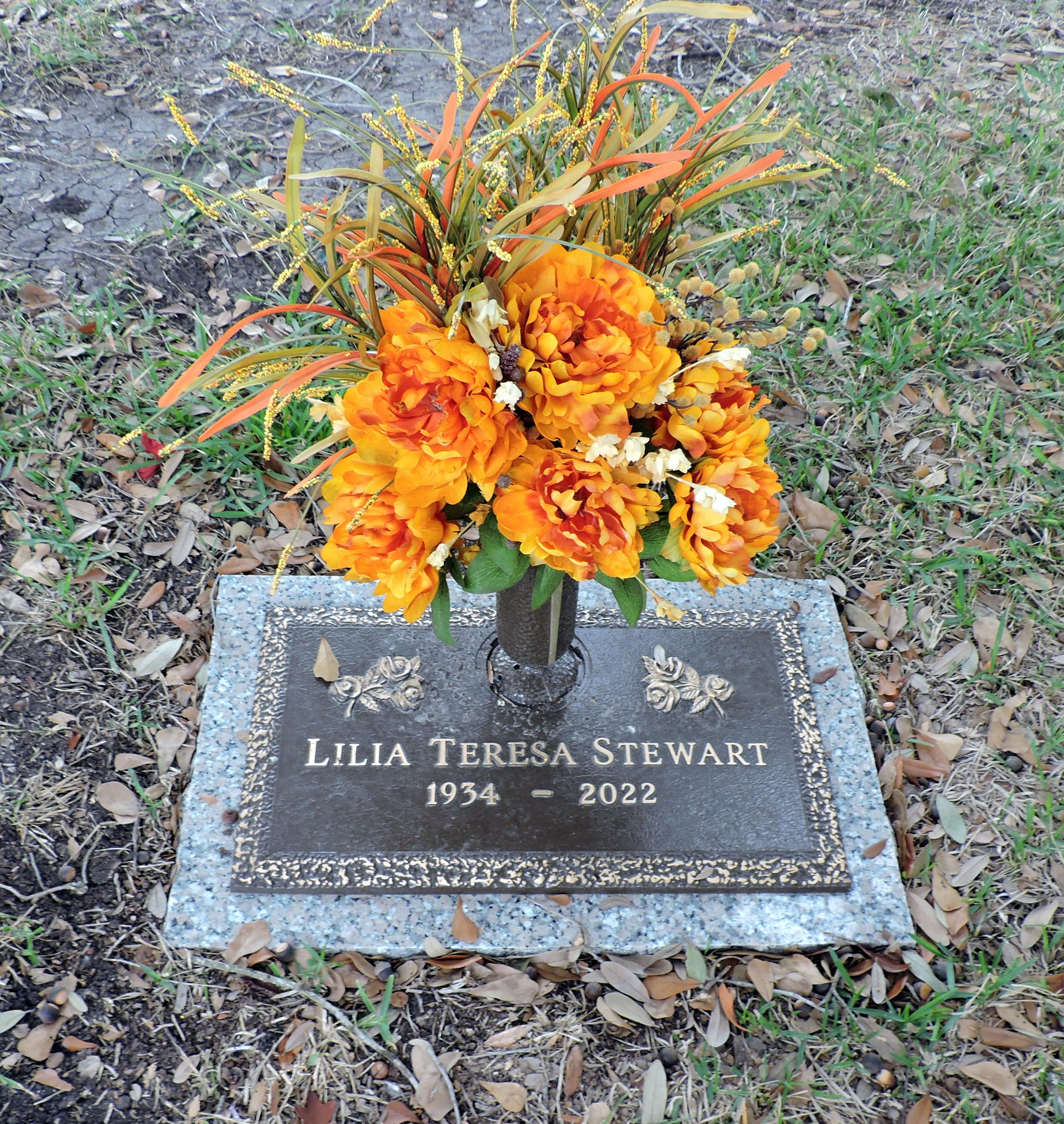 Lilia Stuart training regimen