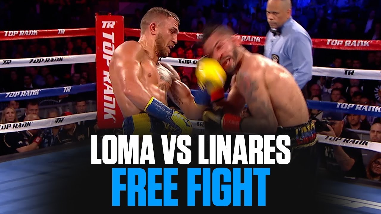 Linares Lomachenko highlights