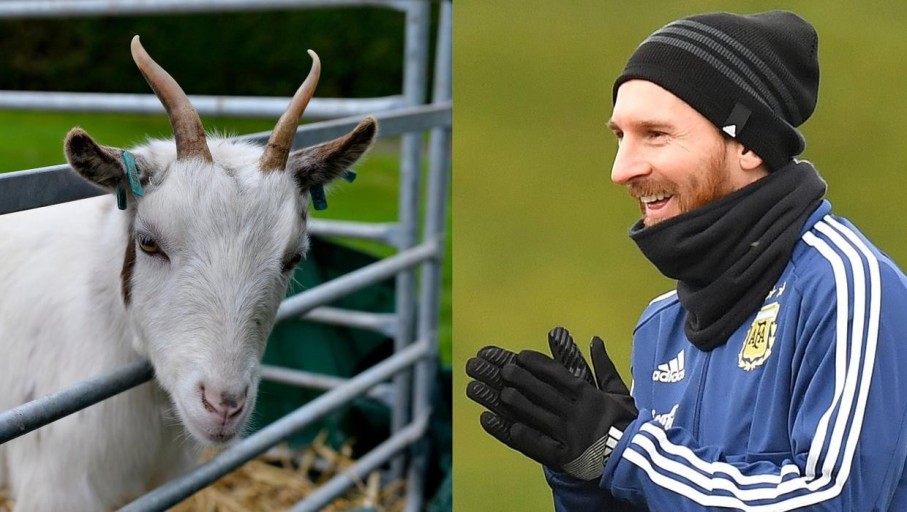 Lionel Messi advertising campaign