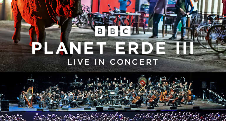 live earth concert 0011