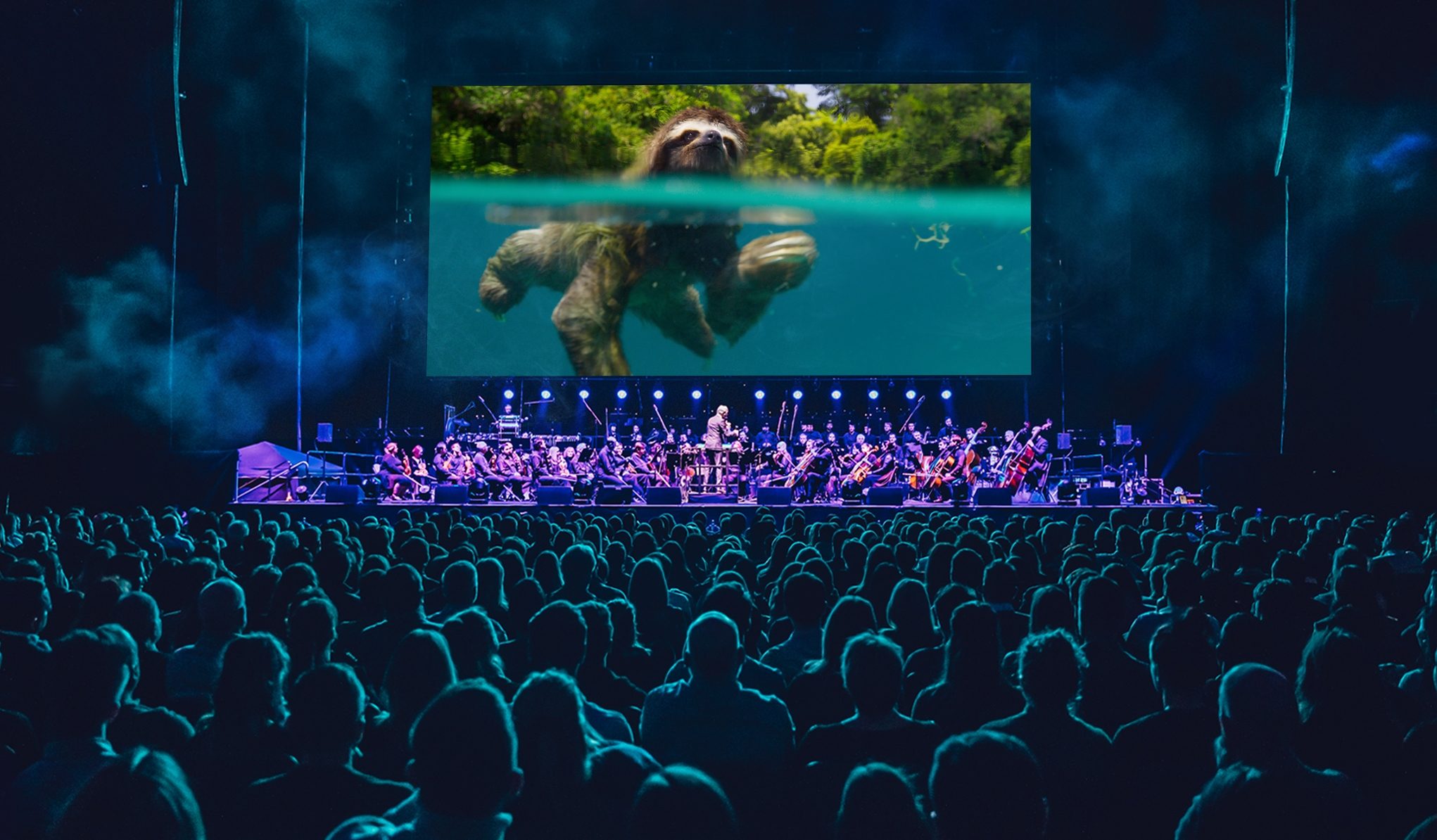 live earth concert 0014