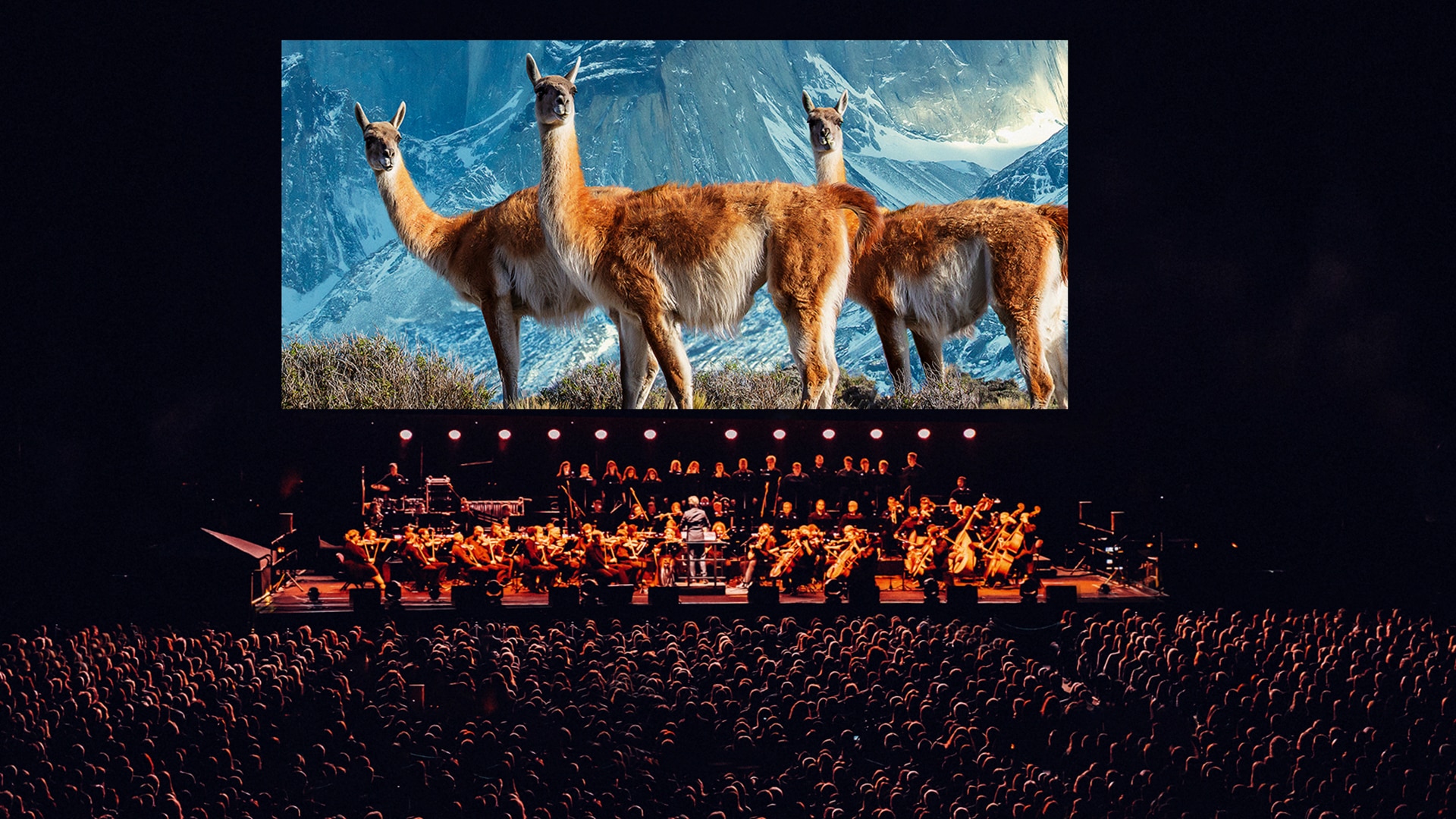 live earth concert 0038