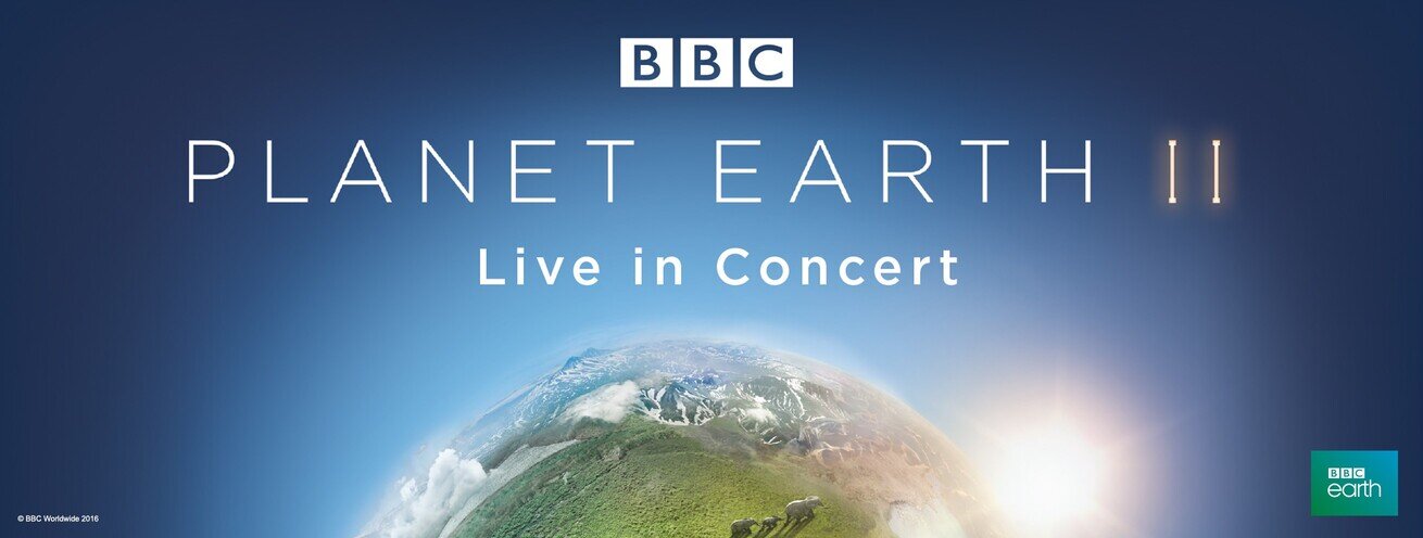 live earth concert 0045