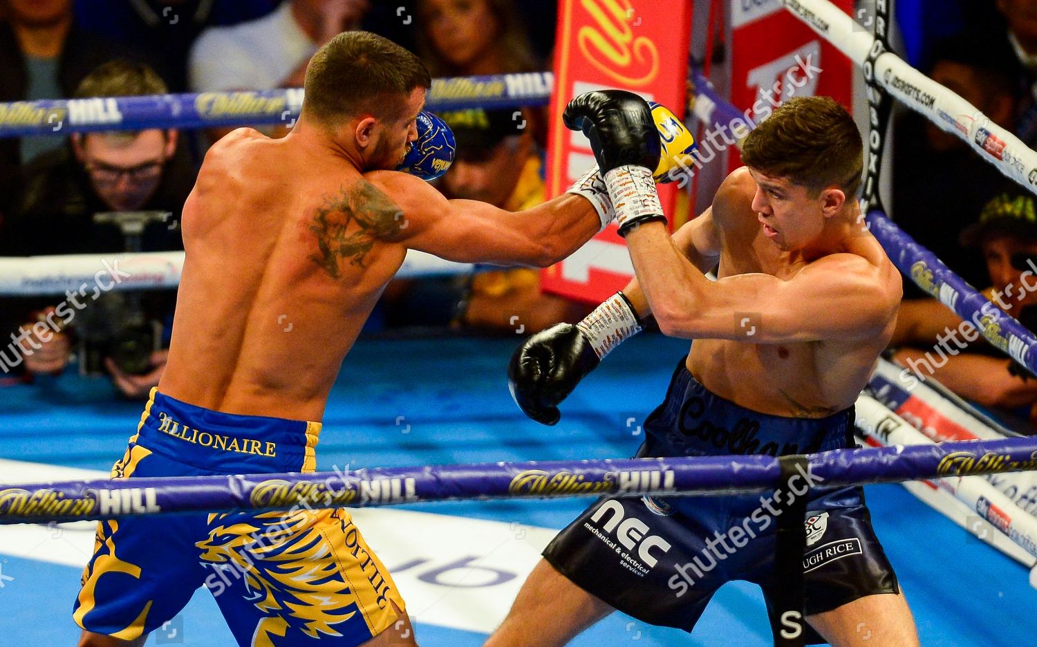 lomachenko campbell 0044