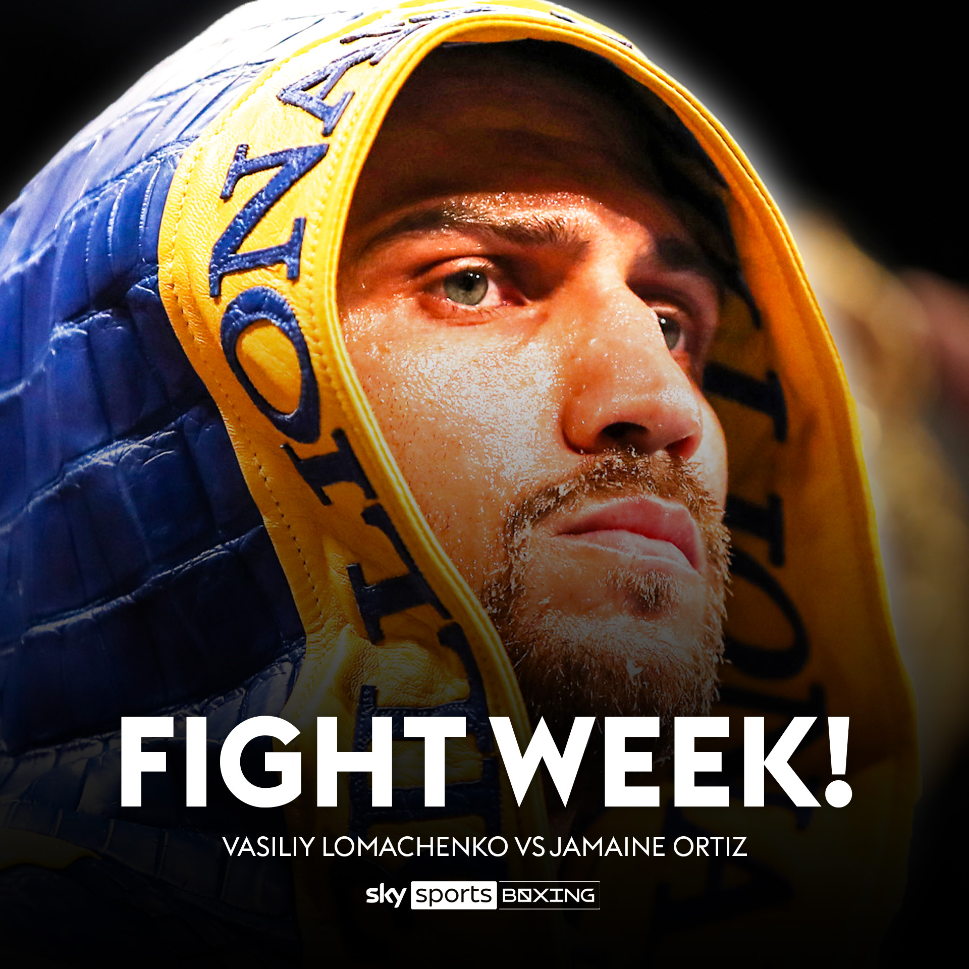 lomachenko ortiz 0041