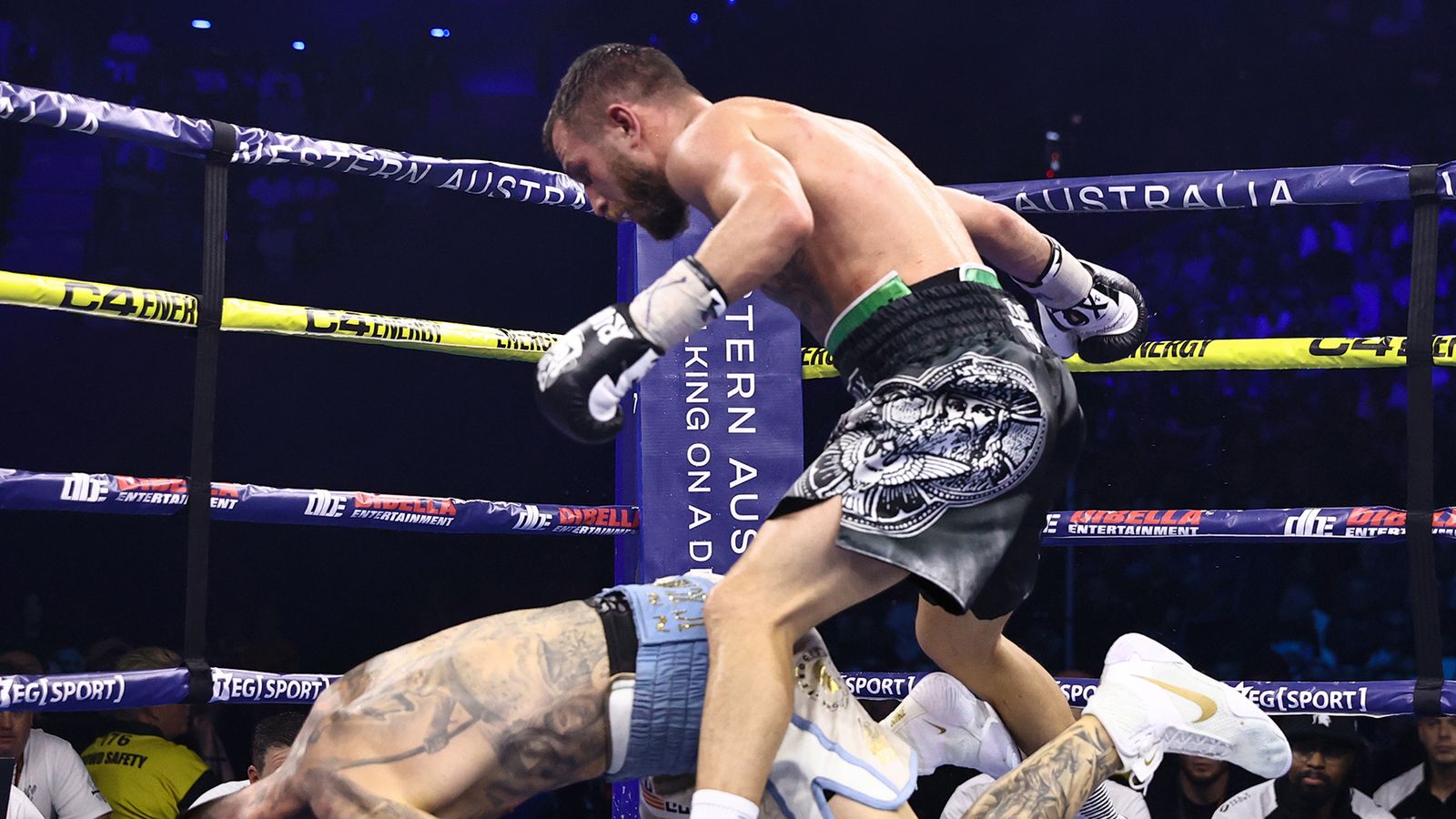 lomachenko wallpaper 0037