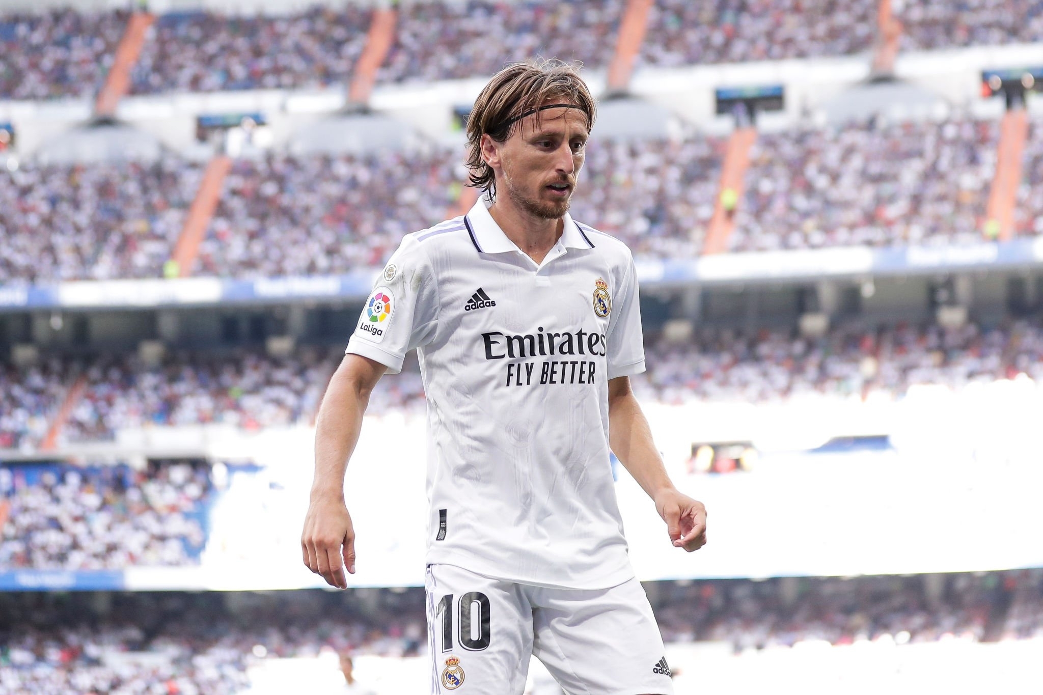 luka modric pfp 0063