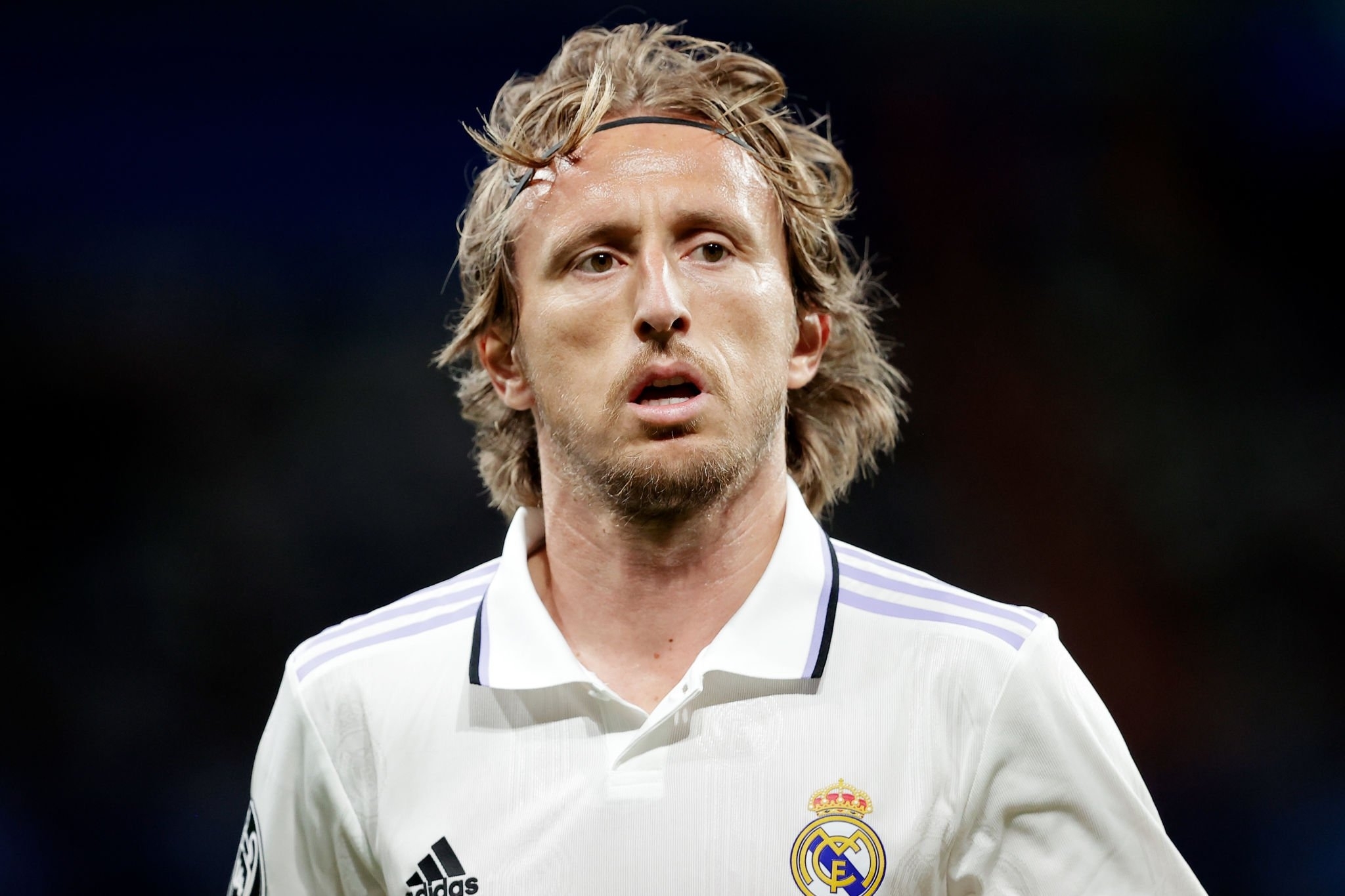 Luka Modric portraits