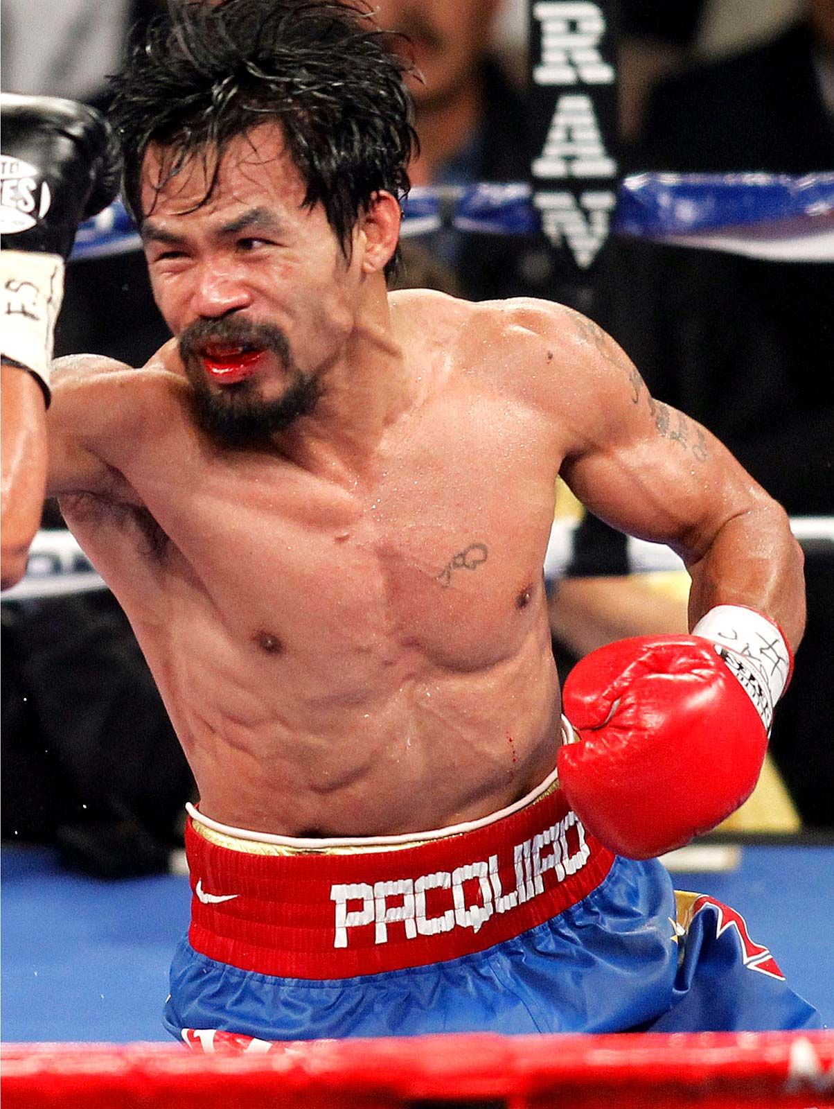 manny pacquiao portrait 0009