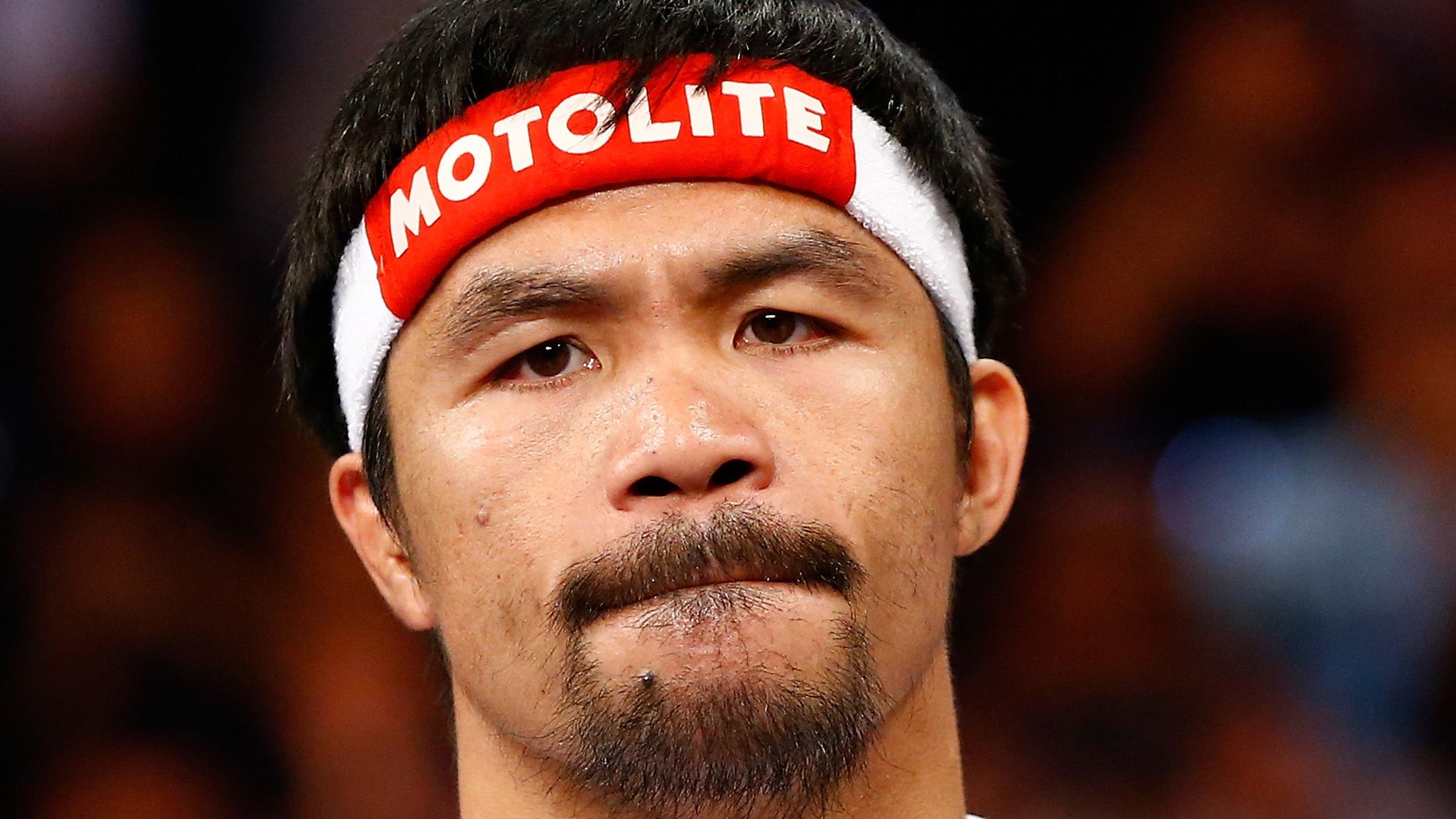 manny pacquiao portrait 0021