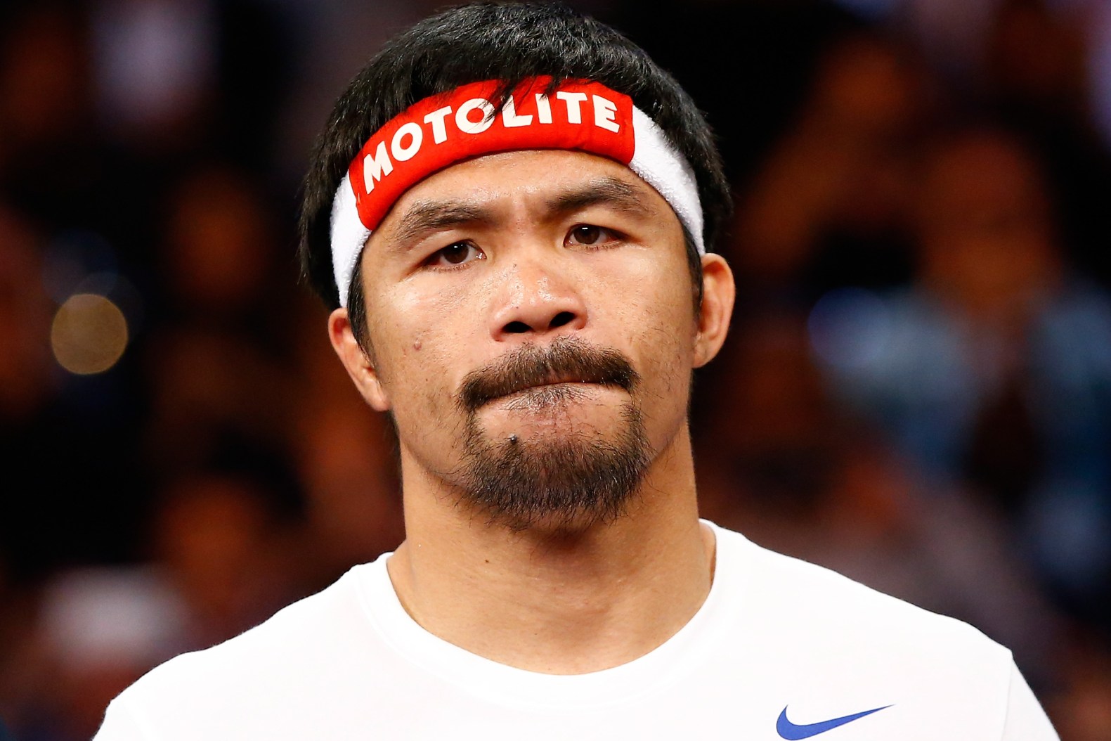 manny pacquiao portrait 0034